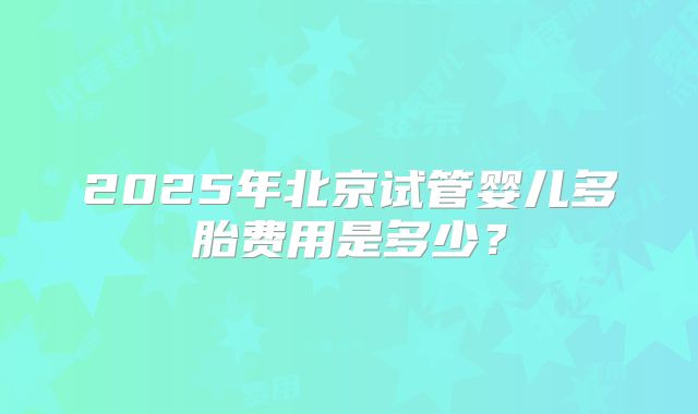 2025年北京试管婴儿多胎费用是多少？
