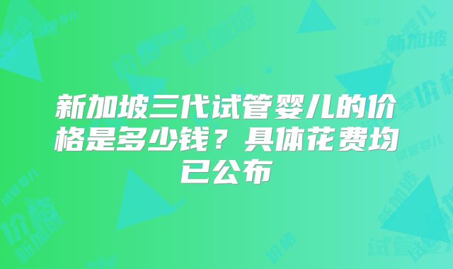 新加坡三代试管婴儿的价格是多少钱？具体花费均已公布