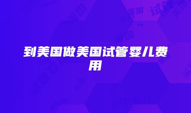 到美国做美国试管婴儿费用