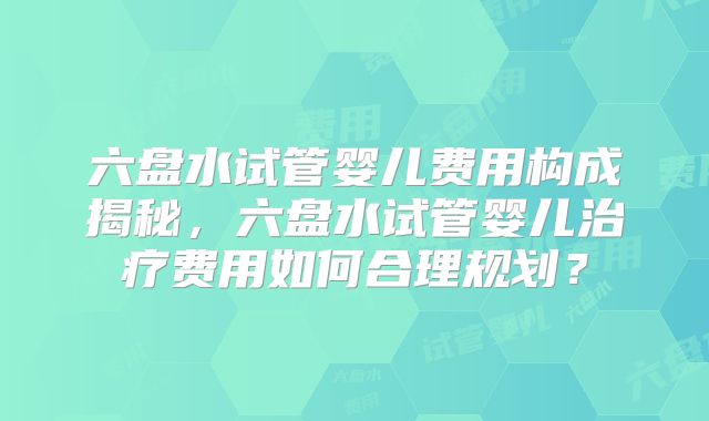 六盘水试管婴儿费用构成揭秘，六盘水试管婴儿治疗费用如何合理规划？