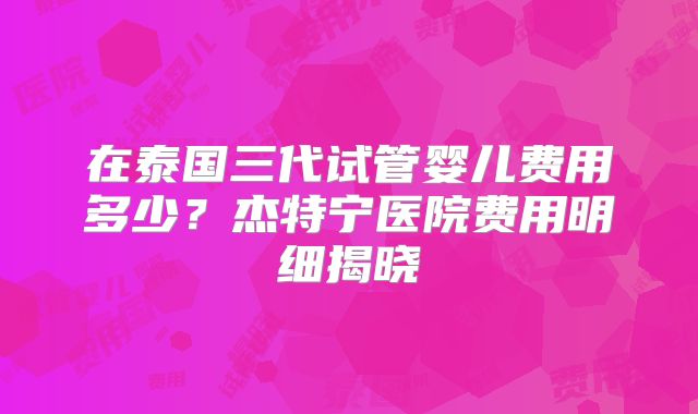 在泰国三代试管婴儿费用多少?杰特宁医院费用明细揭晓