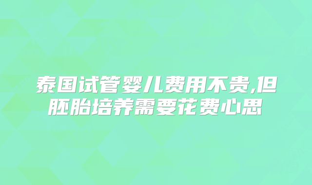 泰国试管婴儿费用不贵,但胚胎培养需要花费心思