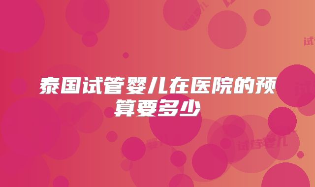 泰国试管婴儿在医院的预算要多少