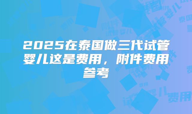 2025在泰国做三代试管婴儿这是费用，附件费用参考