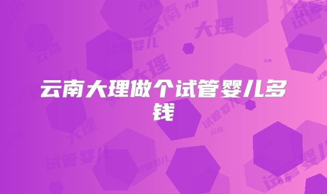 云南大理做个试管婴儿多钱