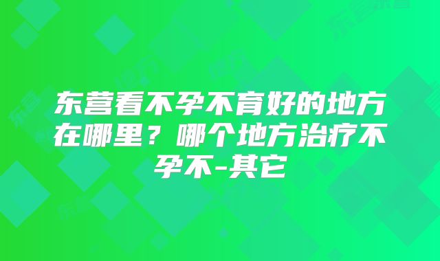 东营看不孕不育好的地方在哪里？哪个地方治疗不孕不-其它
