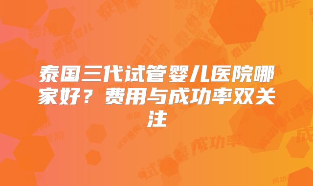 泰国三代试管婴儿医院哪家好？费用与成功率双关注