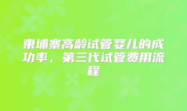 柬埔寨高龄试管婴儿的成功率，第三代试管费用流程