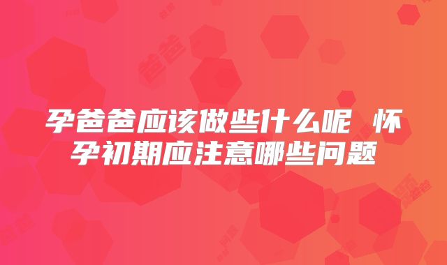 孕爸爸应该做些什么呢 怀孕初期应注意哪些问题