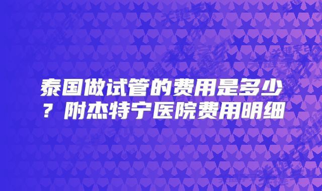 泰国做试管的费用是多少？附杰特宁医院费用明细