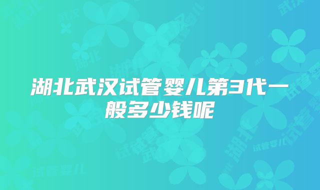 湖北武汉试管婴儿第3代一般多少钱呢