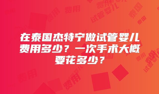 在泰国杰特宁做试管婴儿费用多少？一次手术大概要花多少？