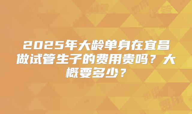 2025年大龄单身在宜昌做试管生子的费用贵吗？大概要多少？