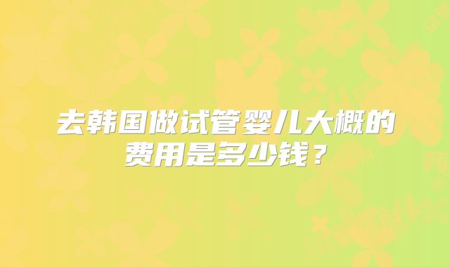 去韩国做试管婴儿大概的费用是多少钱？