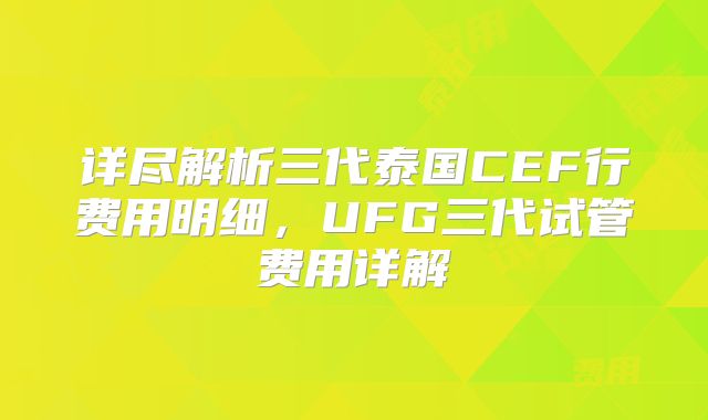 详尽解析三代泰国CEF行费用明细，UFG三代试管费用详解