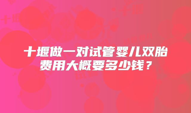 十堰做一对试管婴儿双胎费用大概要多少钱？