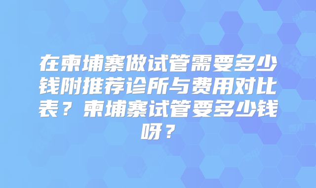 在柬埔寨做试管需要多少钱附推荐诊所与费用对比表?柬埔寨试管要多少钱呀?