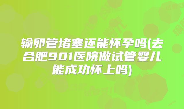 输卵管堵塞还能怀孕吗(去合肥901医院做试管婴儿能成功怀上吗)