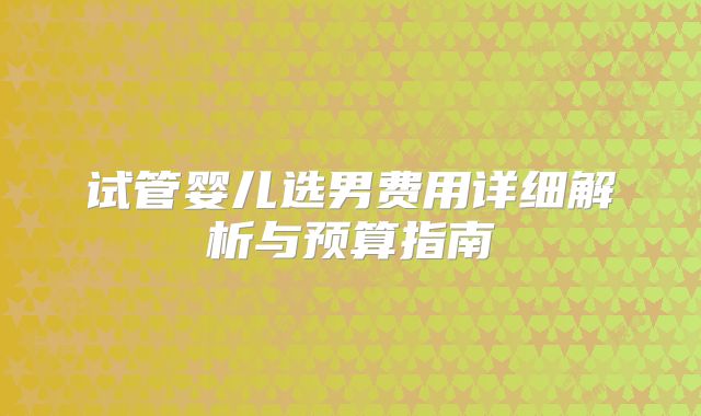试管婴儿选男费用详细解析与预算指南