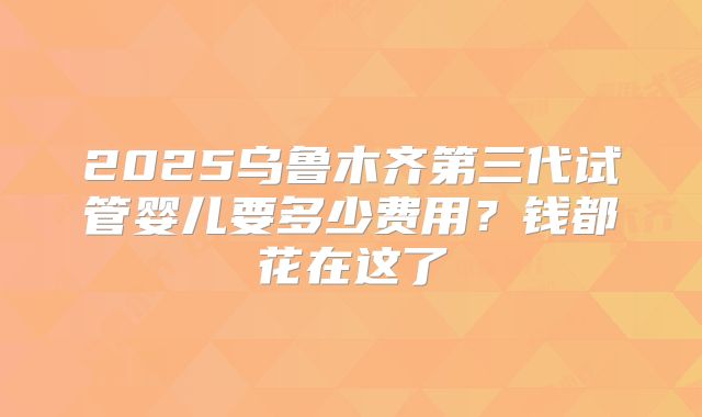 2025乌鲁木齐第三代试管婴儿要多少费用?钱都花在这了