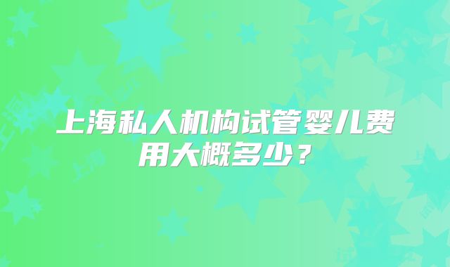 上海私人机构试管婴儿费用大概多少？