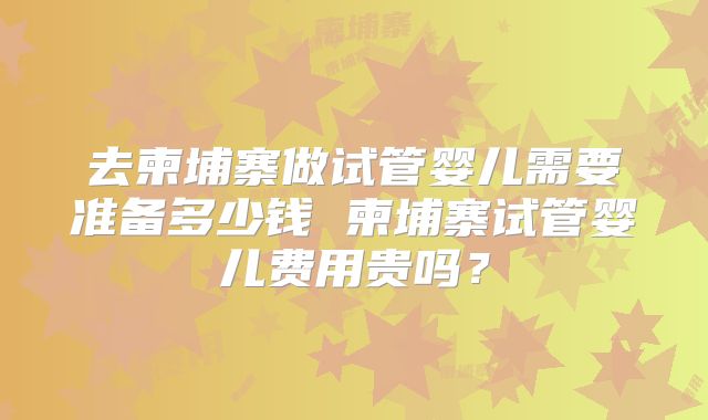 去柬埔寨做试管婴儿需要准备多少钱 柬埔寨试管婴儿费用贵吗？