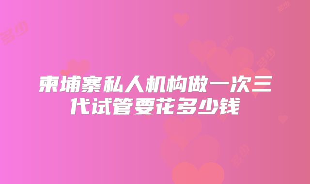 柬埔寨私人机构做一次三代试管要花多少钱