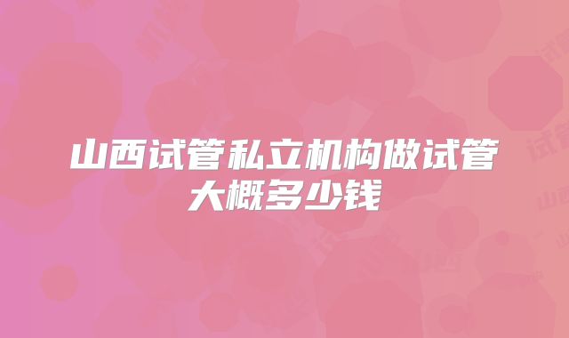 山西试管私立机构做试管大概多少钱