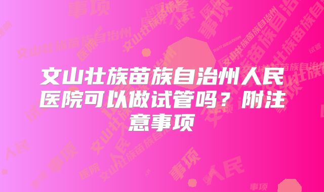 文山壮族苗族自治州人民医院可以做试管吗？附注意事项