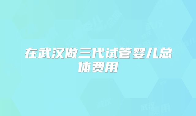 在武汉做三代试管婴儿总体费用