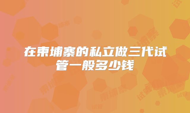 在柬埔寨的私立做三代试管一般多少钱