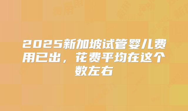 2025新加坡试管婴儿费用已出，花费平均在这个数左右