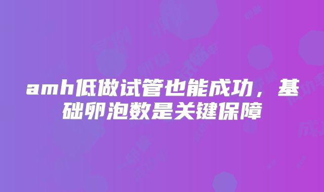 amh低做试管也能成功，基础卵泡数是关键保障