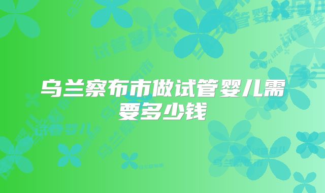 乌兰察布市做试管婴儿需要多少钱