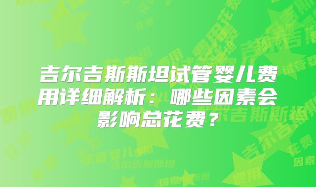 吉尔吉斯斯坦试管婴儿费用详细解析：哪些因素会影响总花费？