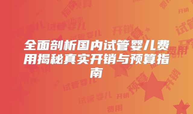 全面剖析国内试管婴儿费用揭秘真实开销与预算指南