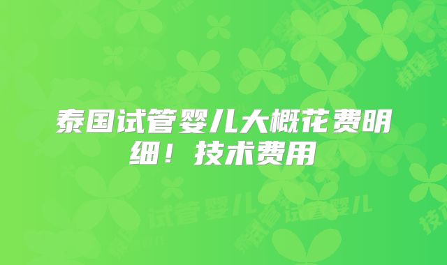 泰国试管婴儿大概花费明细！技术费用