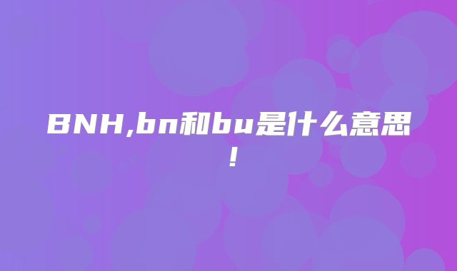 BNH,bn和bu是什么意思!