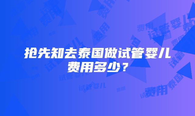 抢先知去泰国做试管婴儿费用多少？