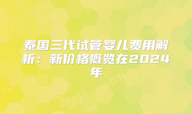 泰国三代试管婴儿费用解析:新价格概览在2024年