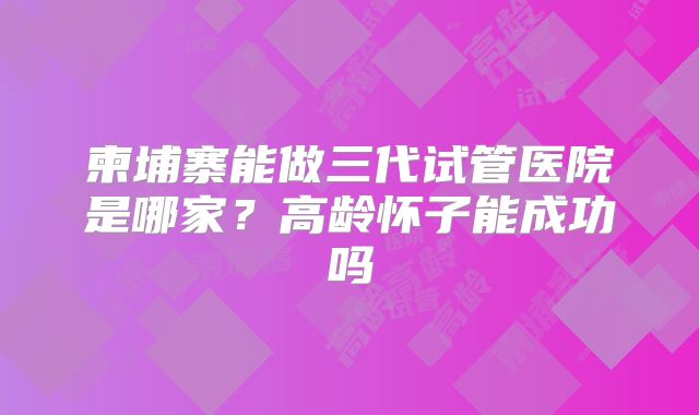 柬埔寨能做三代试管医院是哪家？高龄怀子能成功吗