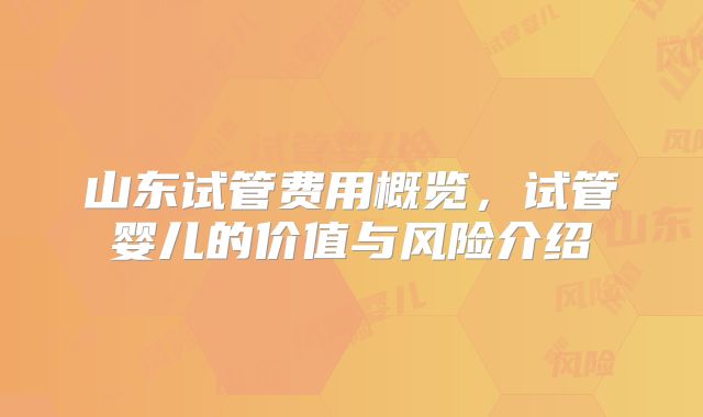山东试管费用概览，试管婴儿的价值与风险介绍