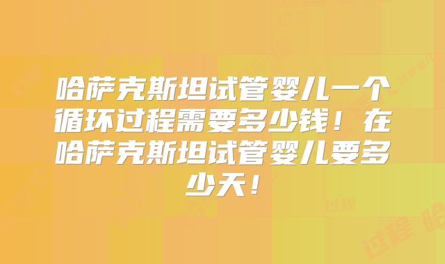 哈萨克斯坦试管婴儿一个循环过程需要多少钱！在哈萨克斯坦试管婴儿要多少天！