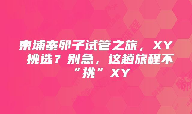 柬埔寨卵子试管之旅，XY 挑选？别急，这趟旅程不“挑”XY