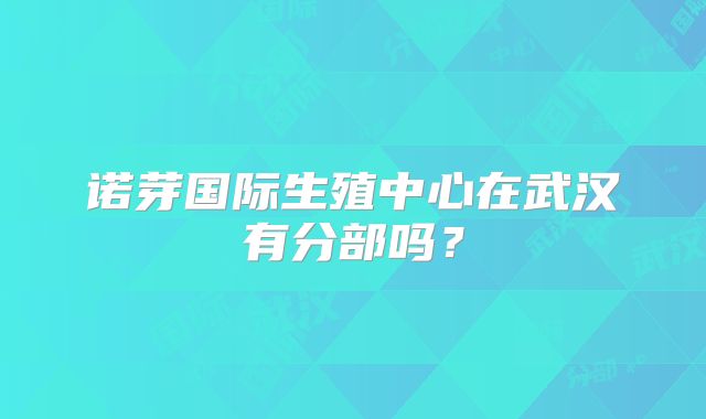 诺芽国际生殖中心在武汉有分部吗？