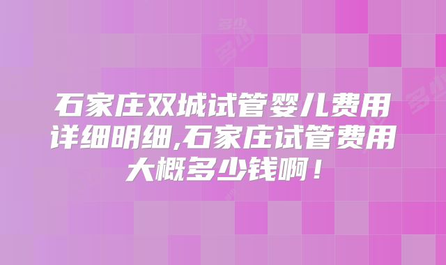 石家庄双城试管婴儿费用详细明细,石家庄试管费用大概多少钱啊！