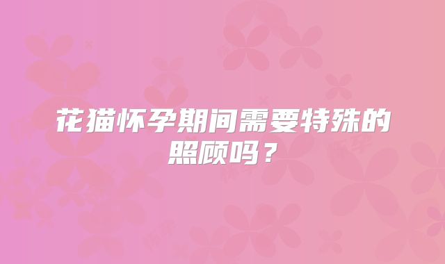 花猫怀孕期间需要特殊的照顾吗？
