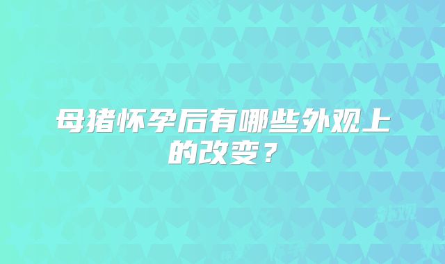 母猪怀孕后有哪些外观上的改变？