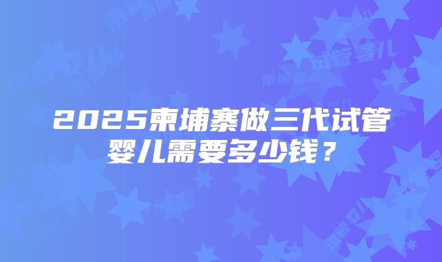 2025柬埔寨做三代试管婴儿需要多少钱？