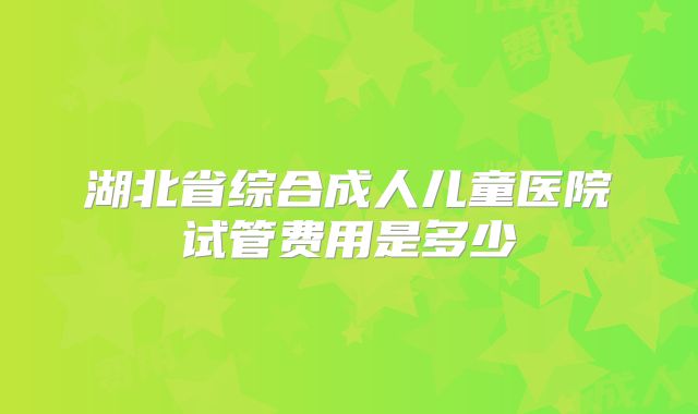 湖北省综合成人儿童医院试管费用是多少